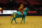 Quadrille - 00549